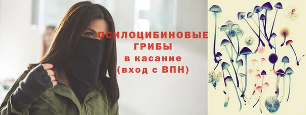 a pvp Тайга