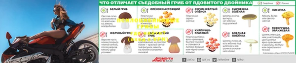 спиды Горнозаводск