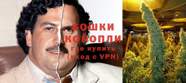 a pvp Тайга