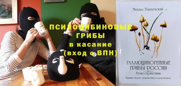 spice Тавда