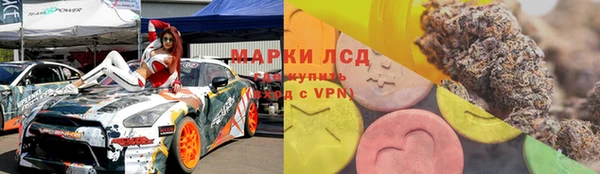 a pvp Тайга